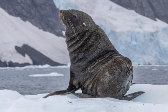 HDS30-26, Day 5, 5D5A0811 © Koen Jongerling - Oceanwide Expeditions.jpg