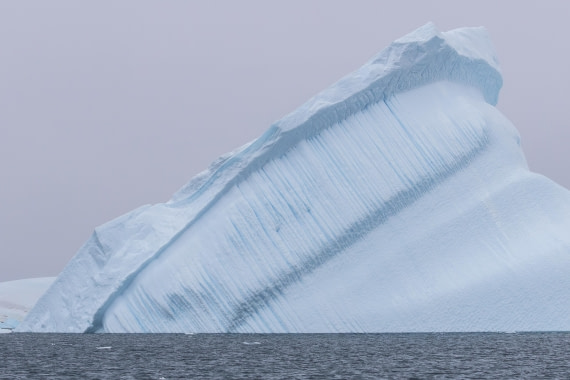 HDS30-26, Day 5, 5D5A0817 © Koen Jongerling - Oceanwide Expeditions.jpg