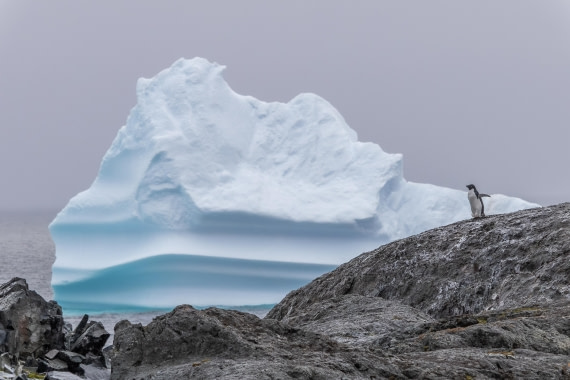 HDS30-26, Day 5, 5D5A0823 © Koen Jongerling - Oceanwide Expeditions.jpg