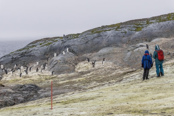 HDS30-26, Day 5, 5D5A0827 © Koen Jongerling - Oceanwide Expeditions.jpg