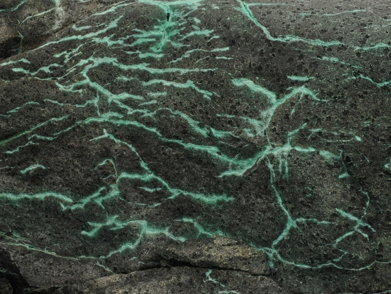 OTL30b26, Day 6, APMG9241.JPG © Andy Perkins - Oceanwide Expeditions.JPG