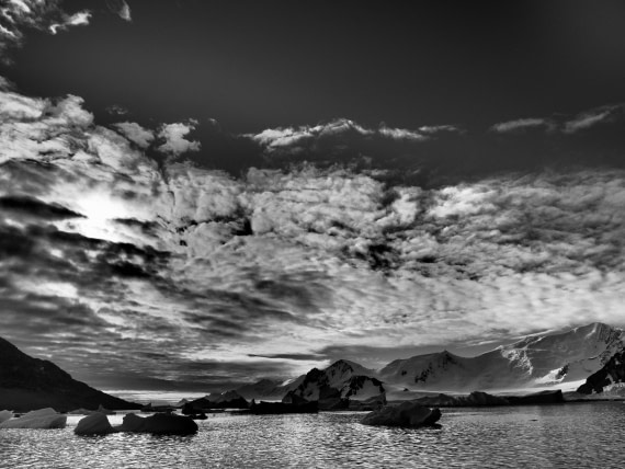 OTL30b26, Day 6, APMG9275.JPG © Andy Perkins - Oceanwide Expeditions.JPG