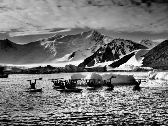 OTL30b26, Day 6, APMG9294.JPG © Andy Perkins - Oceanwide Expeditions.JPG