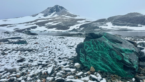 OTL30b26, Day 6, IMG_9524.jpeg © Allan White - Oceanwide Expeditions.jpeg