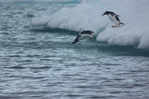 HDS30-26, Day 6, 15Mar Lucas 2 © Lucas Ellerbroek - Oceanwide Expeditions.JPG