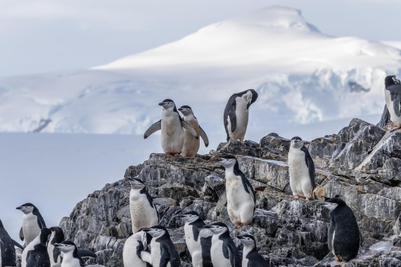 HDS30-26, Day 7, 5D5A0939 © Koen Jongerling - Oceanwide Expeditions.jpg