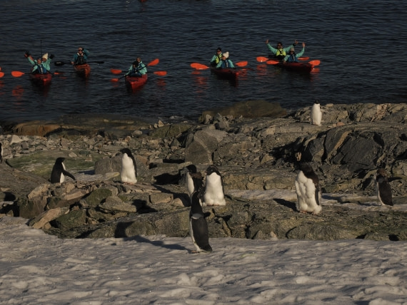 OTL30b26, Day 7, APMG9345.JPG © Andy Perkins - Oceanwide Expeditions.JPG