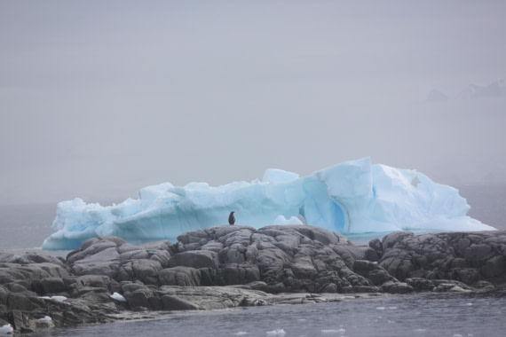 HDS30-26, Day 7, 16Mar Lucas 2 © Lucas Ellerbroek - Oceanwide Expeditions.JPG