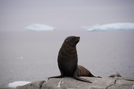 HDS30-26, Day 7, DSC07398 © Jessica Bakker - Oceanwide Expeditions.JPG