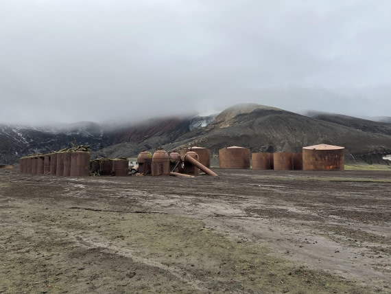 HDS30-26, Day 8, 17Mar Lucas 4 © Lucas Ellerbroek - Oceanwide Expeditions.jpeg