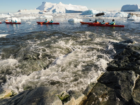 OTL30b26, Day 7, APMG9382.JPG © Andy Perkins - Oceanwide Expeditions.JPG