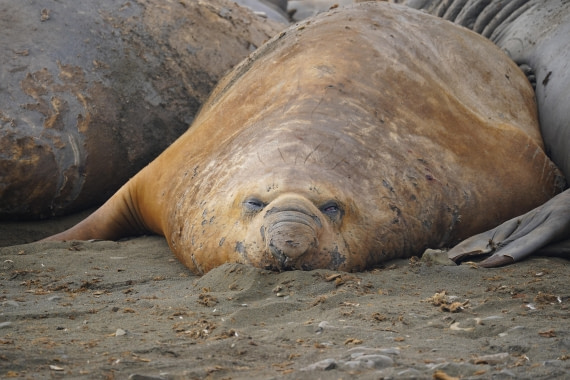 HDS30-26, Day 8, DSC07733 © Jessica Bakker - Oceanwide Expeditions.JPG