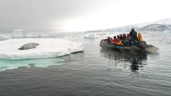 OTL30b26, Day 8, APMG9485.JPG © Andy Perkins - Oceanwide Expeditions.JPG