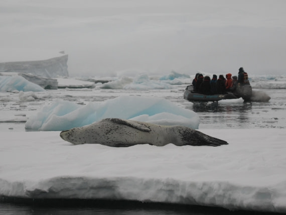 OTL30b26, Day 8, APMG9512.JPG © Andy Perkins - Oceanwide Expeditions.JPG