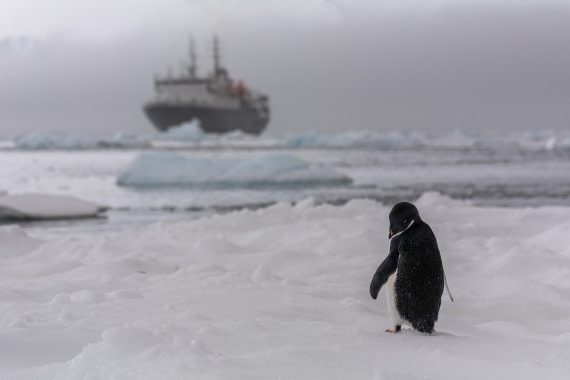 OTL30b26, Day 8, Marco (45).jpg © Marco Rosso - Oceanwide Expeditions.jpg
