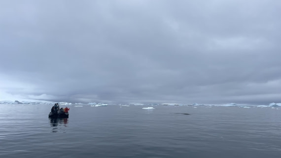 OTL30b26, Day 11, helene (21).JPG © Helene de Meringo - Oceanwide Expeditions.JPG