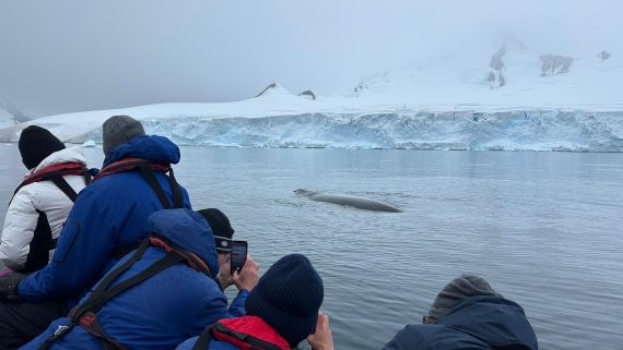 OTL30b26, Day 11, IMG_9725.jpeg © Allan White - Oceanwide Expeditions.jpeg