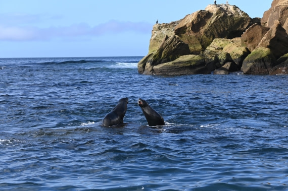 HDS31-26, Day 9, SAS_8010 © Saskia van der Meij - Oceanwide Expeditions.JPG