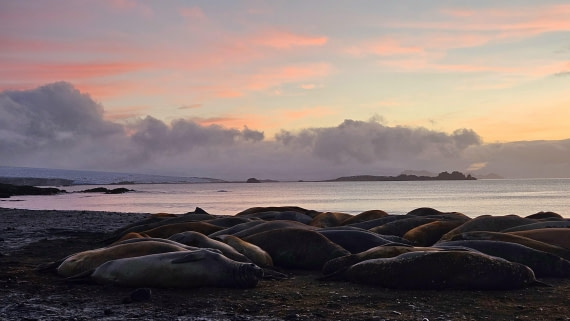 HDS31-26, Day 9, Sassi - 28MAR - Elephant Point © Saskia van der Meij - Oceanwide Expeditions.jpg