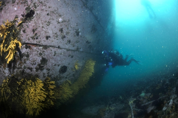 HDS31-26, Diving, 13e8a4ca5a351d3a62abc0eeb65a15c3 © Unknown photographer - Oceanwide Expeditions.JPG