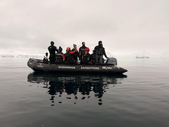 HDS31-26, Diving, IMG_2441 © Unknown photographer - Oceanwide Expeditions.jpeg