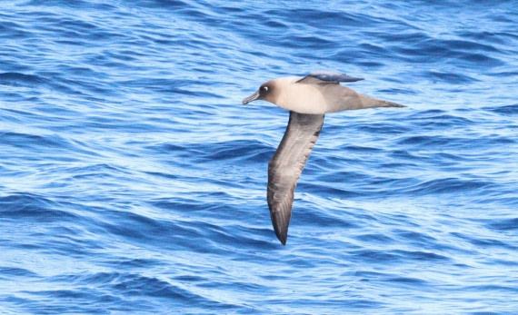 HDS31-26, Day 3, IMG_3560 © Unknown photographer - Oceanwide Expeditions.JPG