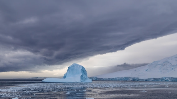 HDS31-26, Day 5, Martin (3) © Martin Anstee - Oceanwide Expeditions.jpg