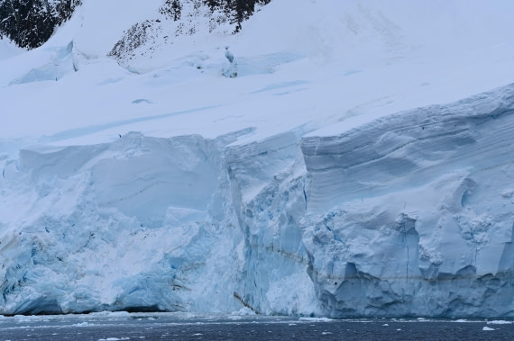 HDS31-26, Day 5, SAS_7647 © Saskia van der Meij - Oceanwide Expeditions.JPG