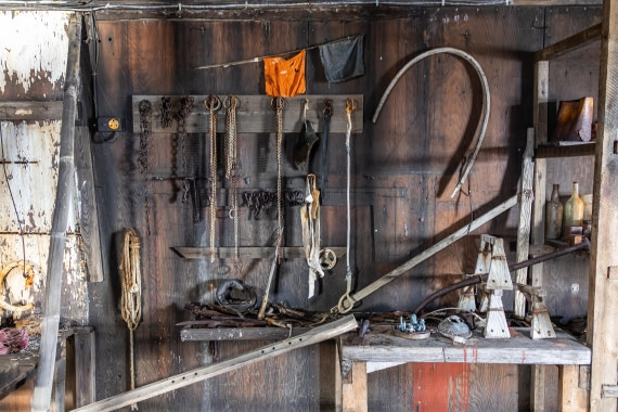 HDS31-26, Day 6, 5D5A1104 © Koen Jongerling - Oceanwide Expeditions.jpg