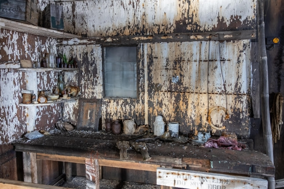 HDS31-26, Day 6, 5D5A1106 © Koen Jongerling - Oceanwide Expeditions.jpg