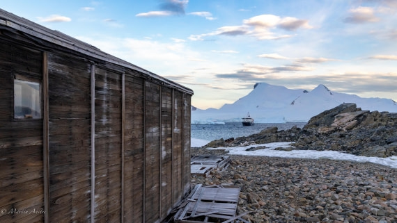 HDS31-26, Day 6, Martin (1) © Martin Anstee - Oceanwide Expeditions.jpg