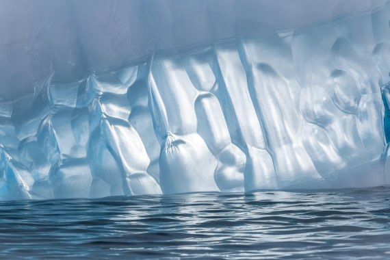 HDS31-26, Day 7, 5D5A1153 © Koen Jongerling - Oceanwide Expeditions.jpg