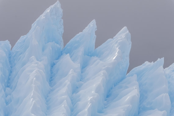 HDS31-26, Day 7, 5D5A1180 © Koen Jongerling - Oceanwide Expeditions.jpg