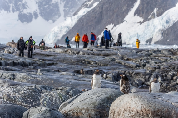 HDS31-26, Day 7, 5D5A1200 © Koen Jongerling - Oceanwide Expeditions.jpg