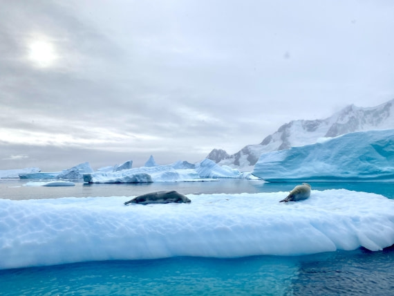 HDS31-26, Day 7, IMG_9931 © Unknown photographer - Oceanwide Expeditions.jpg