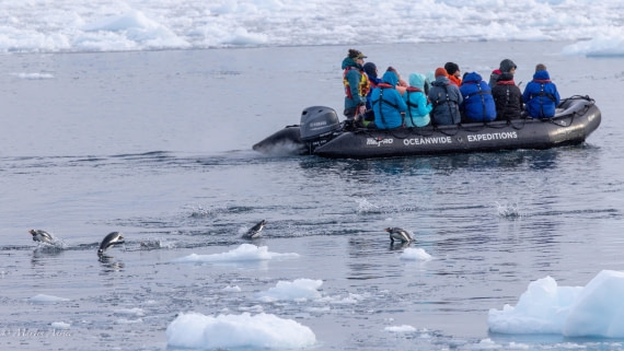 HDS31-26, Day 7, Martin (6) © Martin Anstee - Oceanwide Expeditions.jpg