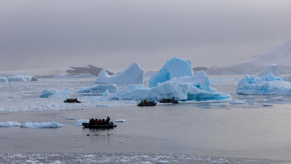 HDS31-26, Day 7, Martin (10) © Martin Anstee - Oceanwide Expeditions.jpg