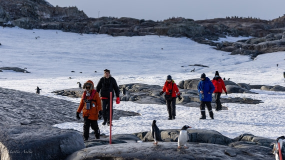 HDS31-26, Day 7, Martin (15) © Martin Anstee - Oceanwide Expeditions.jpg