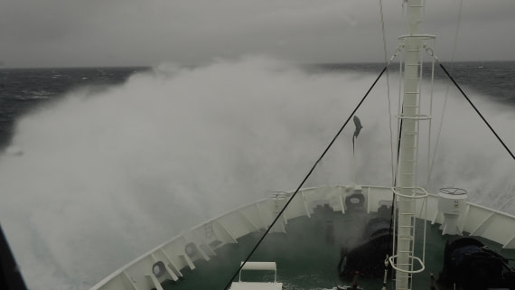 OTL31a26, Day 2, APMG0006.JPG © Andy Perkins - Oceanwide Expeditions.JPG