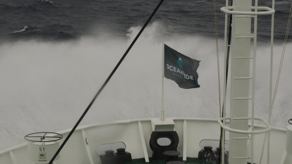 OTL31a26, Day 2, APMG0012.JPG © Andy Perkins - Oceanwide Expeditions.JPG