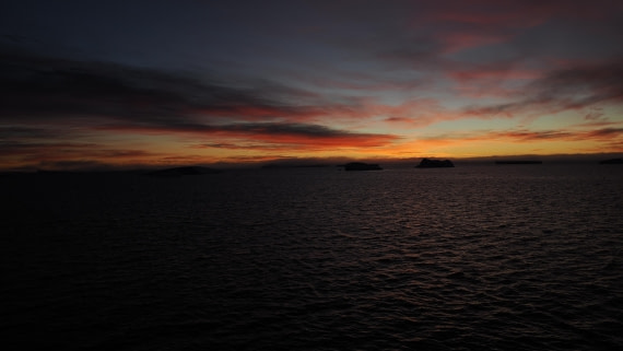 OTL31a26, Day 4, APMG0131.JPG © Andy Perkins - Oceanwide Expeditions.JPG