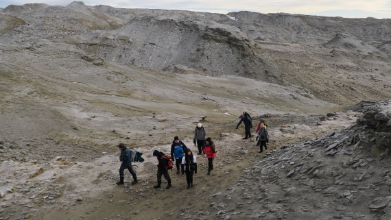 OTL31a26, Day 4, APMG0140.JPG © Andy Perkins - Oceanwide Expeditions.JPG