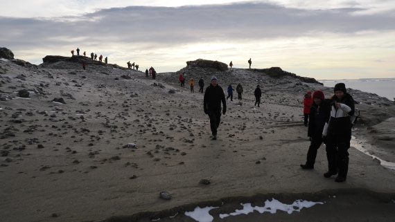 OTL31a26, Day 4, APMG0144.JPG © Andy Perkins - Oceanwide Expeditions.JPG