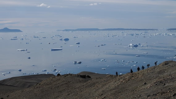 OTL31a26, Day 4, APMG0217.JPG © Andy Perkins - Oceanwide Expeditions.JPG