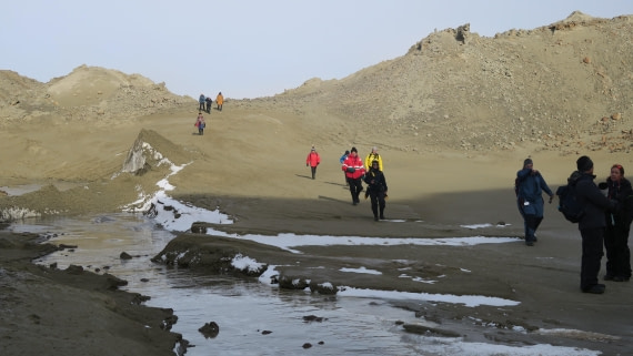 OTL31a26, Day 4, Penguin Is 20Mar26 Dave 3.JPG © Unknown Photographer - Oceanwide Expeditions.JPG