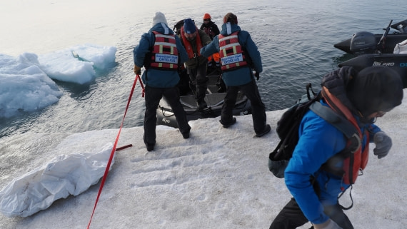 OTL31a26, Day 5, APMG0201.JPG © Andy Perkins - Oceanwide Expeditions.JPG