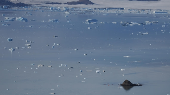 OTL31a26, Day 5, APMG0204.JPG © Andy Perkins - Oceanwide Expeditions.JPG