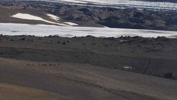 OTL31a26, Day 5, APMG0213.JPG © Andy Perkins - Oceanwide Expeditions.JPG