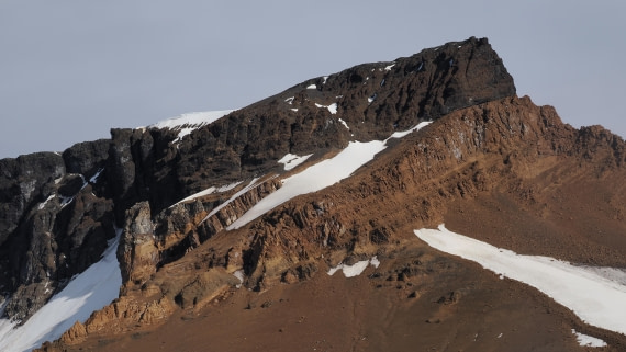 OTL31a26, Day 5, APMG0222.JPG © Andy Perkins - Oceanwide Expeditions.JPG