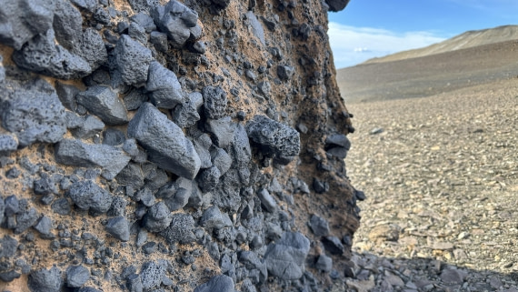 OTL31a26, Day 5, IMG_0878.jpg © Unknown Photographer - Oceanwide Expeditions.jpg